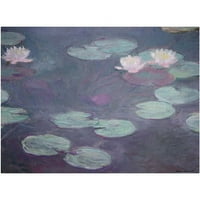 Ticari Marka Güzel Sanatlar Pembe Zambaklar 1897 - Claude Monet'in Tuval Sanatı