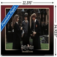 Harry Potter ve Büyücünün Taşı - Arkadaşlar Duvar Posteri, 14.725 22.375