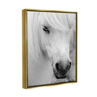 Zarif Beyaz At Aygır Hayvanlar ve Böcekler Fotoğraf Metalik Altın Çerçeveli Sanat Baskı Duvar Sanatı