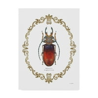 James Wiens'ten 'Coleoptera I'i Süsleyen' Güzel Sanatlar Markası Tuval Sanatı