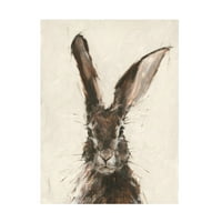 Ethan Harper 'Avrupa Tavşanı II' Tuval Sanatı