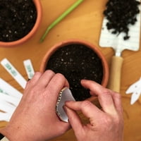 Feribot-Morse Ekmek Kolay Krizantem Robinson Karışık Renkler Çiçek Tohumları Paketi