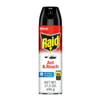 Raıd® Ant & Roach Aerosol Böcek Spreyi, Su Bazlı, Yağsız Böcek İlacı, 17. fl oz