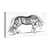Wynwood Stüdyo Hayvanlar Duvar Sanatı Tuval Baskılar 'Equus I' Çiftlik Hayvanları-Gri, Beyaz
