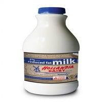 Hollandia Süt Azaltılmış Yağ% 2 Süt tek servis