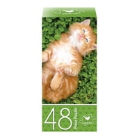 48 Parçalı Bulmaca - Sevimli Yavru Kedi