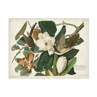 John James Audubon 'Siyah Gagalı Guguk Kuşu' Tuval Sanatı