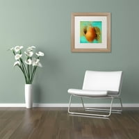 Marka Güzel Sanatlar Parlayan Meyveler IV Renkli Fırın Beyaz Mat, Huş Ağacı Çerçeveli Tuval Sanatı