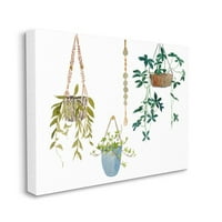 Stupell Sanayi Asılı Bitki Sarmaşıklar Modern Yeşillik Suluboya Tuval Duvar Sanatı Tasarım Melissa Wang, 30 40
