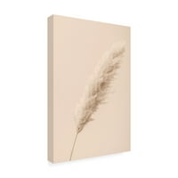 Studio III 'Pampas Grass Begie 14' Tuval Sanatı