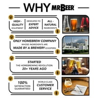 Mr. Beer Bavyera Buğday Birası Galon Homebrewing al yapımı bira Dolum Kiti, Tutarlı, Basit ve Verimli Homebrewing