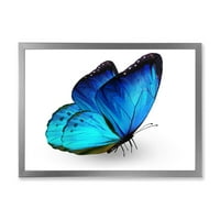Designart 'Beyaz Üzerine Canlı Mavi Kelebeğin Yakın Çekimi' Modern Çerçeveli Sanat Baskısı