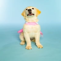 Doggy Parton, Köpek Elbisesi Kovboy Kız Yakalı Köpek Elbisesi, Pembe, XS