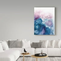 Ticari Marka Güzel Sanatlar 'Nebula I' Tuval Sanatı Mary Urban