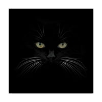 Marka Güzel Sanatlar 'Kara Kedi Merkezli' Lori Hutchison'dan Tuval Sanatı