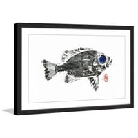 Siyah Sincap Balığı Çerçeveli Resim Baskısı